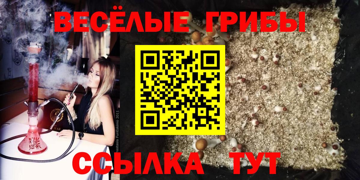 Москва  Псилоцибиновые грибы мицелий  Вход с VPN 