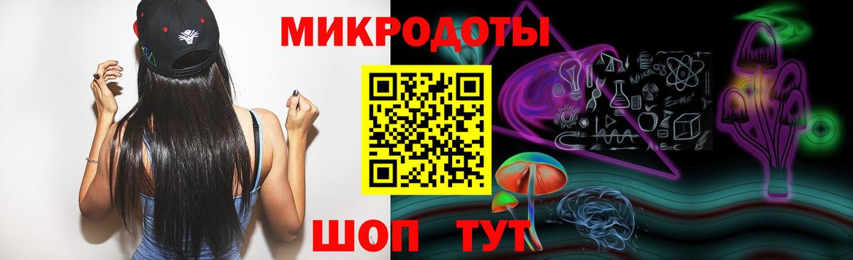 Галлюциногенные грибы Psilocybine cubensis Москва